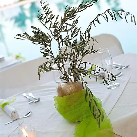 Hotel Parnis Palace 4*